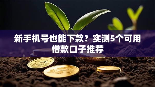 新手机号也能下款？实测5个可用借款口子推荐
