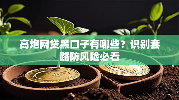 高炮网贷黑口子有哪些？识别套路防风险必看