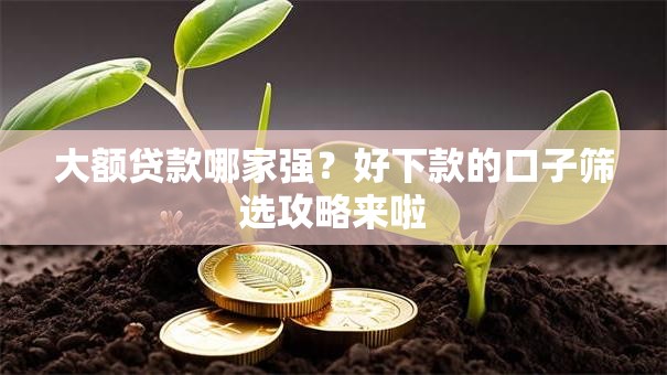 大额贷款哪家强?好下款的口子筛选攻略来啦 大额贷款哪家强?好下款的口子筛选攻略来啦