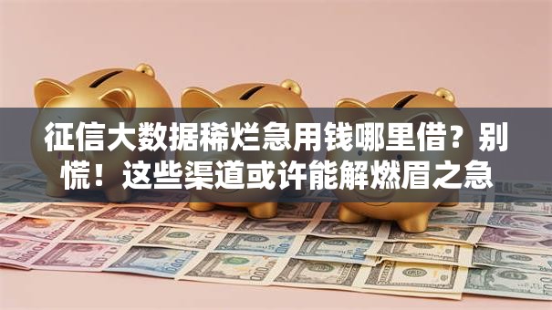 征信大数据稀烂急用钱哪里借？别慌！这些渠道或许能解燃眉之急