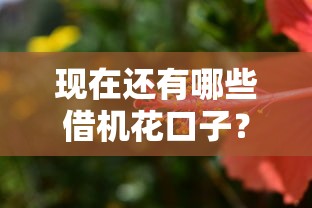 现在还有哪些借机花口子？这几个避坑技巧要牢记！