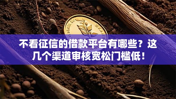 不看征信的借款平台有哪些？这几个渠道审核宽松门槛低！