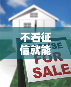 不看征信就能贷?5000元小额贷款申请攻略大揭秘 不看征信就能贷?5000元小额贷款申请攻略大揭秘