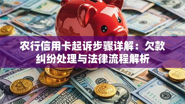 农行信用卡起诉步骤详解:欠款纠纷处理与法律流程解析 农行信用卡起诉步骤详解:欠款纠纷处理与法律流程解析