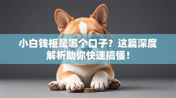 小白钱柜是哪个口子?这篇深度解析助你快速搞懂! 小白钱柜是哪个口子?这篇深度解析助你快速搞懂!