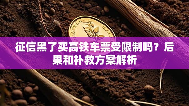 征信黑了买高铁车票受限制吗?后果和补救方案解析 征信黑了买高铁车票受限制吗?后果和补救方案解析