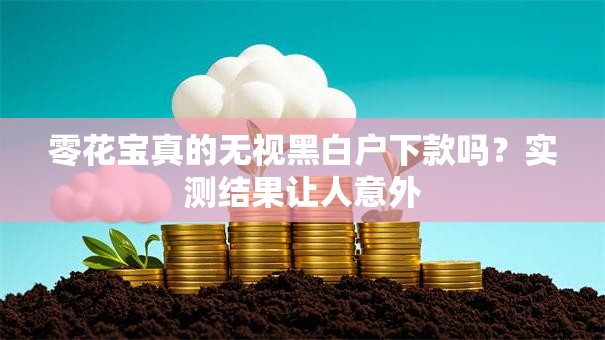 零花宝真的无视黑白户下款吗?实测结果让人意外 零花宝真的无视黑白户下款吗?实测结果让人意外