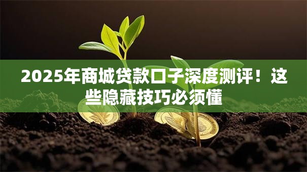 2025年商城贷款口子深度测评!这些隐藏技巧必须懂 2025年商城贷款口子深度测评!这些隐藏技巧必须懂