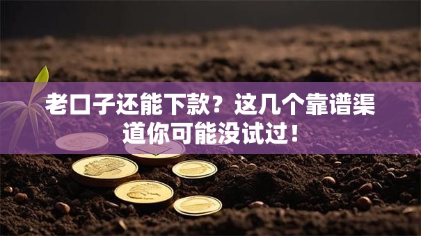 老口子还能下款？这几个靠谱渠道你可能没试过！