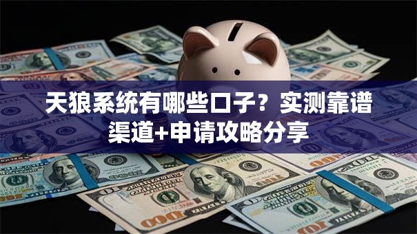 天狼系统有哪些口子?实测靠谱渠道+申请攻略分享 天狼系统有哪些口子?实测靠谱渠道+申请攻略分享