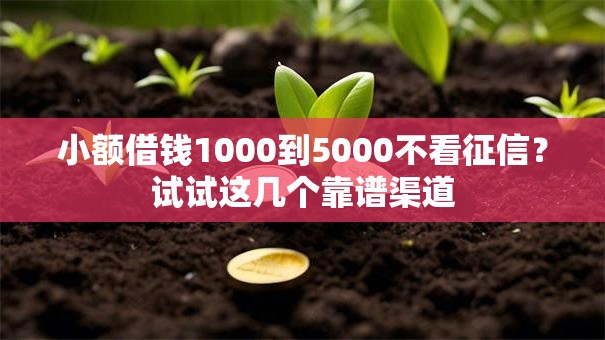 小额借钱1000到5000不看征信?试试这几个靠谱渠道 小额借钱1000到5000不看征信?试试这几个靠谱渠道