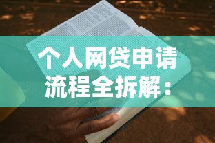 个人网贷申请流程全拆解：手把手教你避坑拿高额低息
