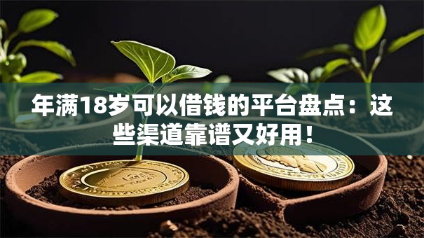 年满18岁可以借钱的平台盘点:这些渠道靠谱又好用! 年满18岁可以借钱的平台盘点:这些渠道靠谱又好用!