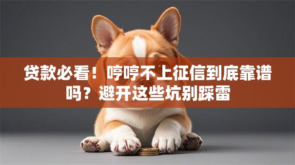 贷款必看!哼哼不上征信到底靠谱吗?避开这些坑别踩雷 贷款必看!哼哼不上征信到底靠谱吗?避开这些坑别踩雷