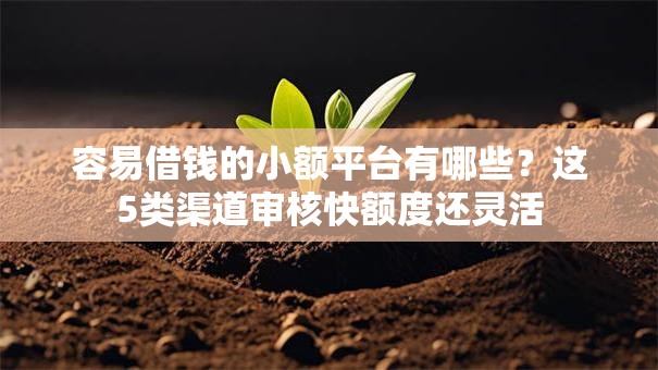 容易借钱的小额平台有哪些?这5类渠道审核快额度还灵活 容易借钱的小额平台有哪些?这5类渠道审核快额度还灵活
