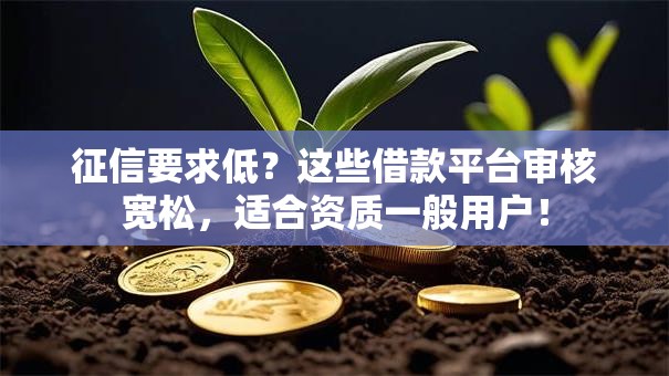 征信要求低?这些借款平台审核宽松,适合资质一般用户! 征信要求低?这些借款平台审核宽松,适合资质一般用户!