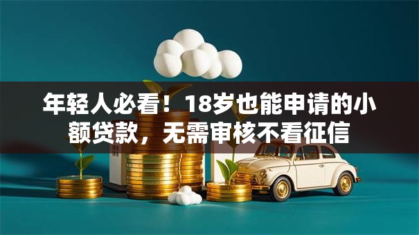 年轻人必看!18岁也能申请的小额贷款,无需审核不看征信 年轻人必看!18岁也能申请的小额贷款,无需审核不看征信