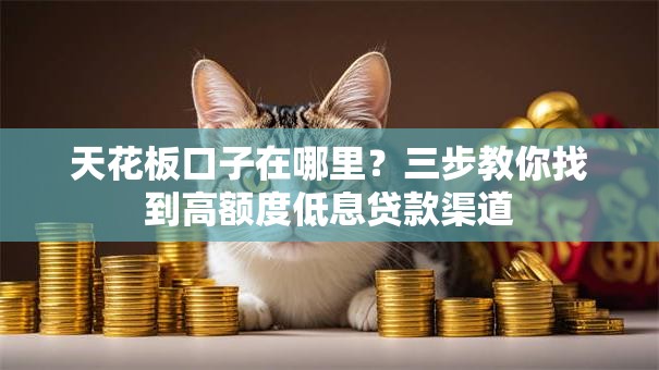 天花板口子在哪里?三步教你找到高额度低息贷款渠道 天花板口子在哪里?三步教你找到高额度低息贷款渠道
