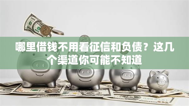 哪里借钱不用看征信和负债?这几个渠道你可能不知道 哪里借钱不用看征信和负债?这几个渠道你可能不知道