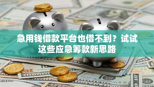 急用钱借款平台也借不到？试试这些应急筹款新思路