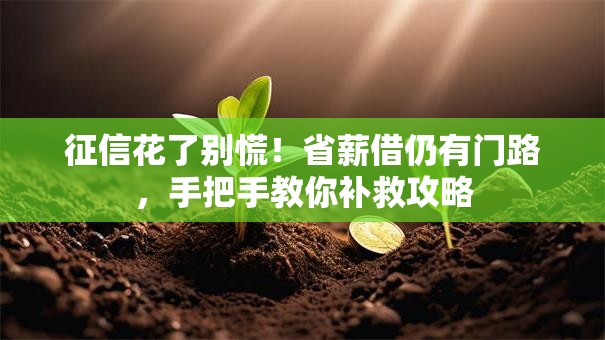 征信花了别慌！省薪借仍有门路，手把手教你补救攻略