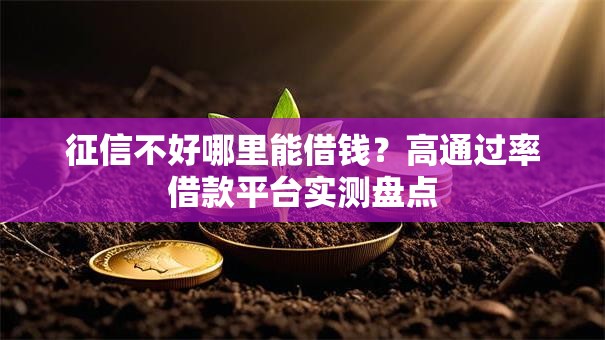征信不好哪里能借钱?高通过率借款平台实测盘点 征信不好哪里能借钱?高通过率借款平台实测盘点