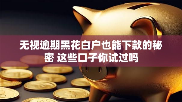 无视逾期黑花白户也能下款的秘密 这些口子你试过吗 无视逾期黑花白户也能下款的秘密 这些口子你试过吗