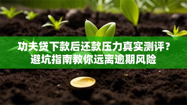 功夫贷下款后还款压力真实测评?避坑指南教你远离逾期风险 功夫贷下款后还款压力真实测评?避坑指南教你远离逾期风险