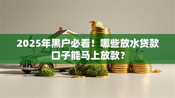 2025年黑户必看!哪些放水贷款口子能马上放款? 2025年黑户必看!哪些放水贷款口子能马上放款?