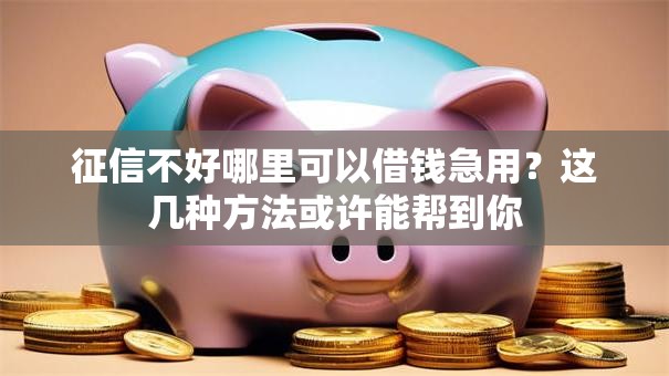 征信不好哪里可以借钱急用?这几种方法或许能帮到你 征信不好哪里可以借钱急用?这几种方法或许能帮到你