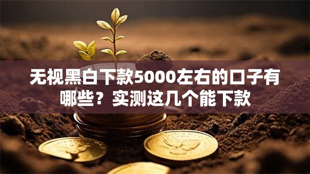 无视黑白下款5000左右的口子有哪些?实测这几个能下款 无视黑白下款5000左右的口子有哪些?实测这几个能下款