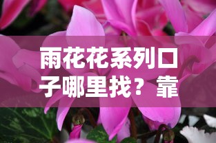 雨花花系列口子哪里找?靠谱平台选择与申请攻略揭秘 雨花花系列口子哪里找?靠谱平台选择与申请攻略揭秘