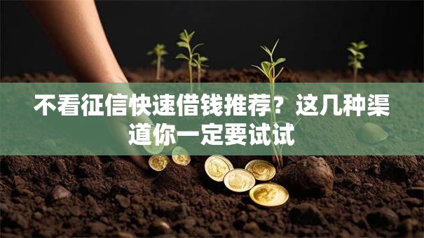 不看征信快速借钱推荐?这几种渠道你一定要试试 不看征信快速借钱推荐?这几种渠道你一定要试试