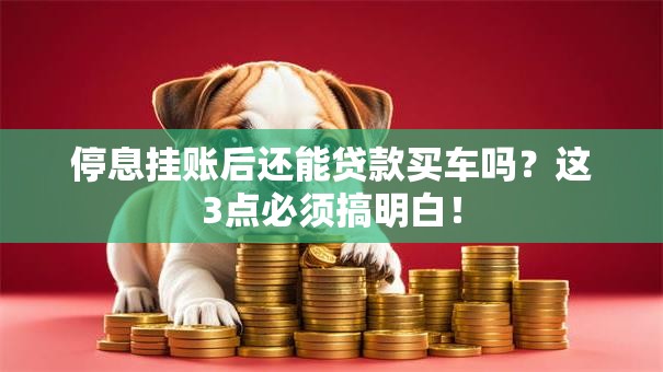 停息挂账后还能贷款买车吗?这3点必须搞明白! 停息挂账后还能贷款买车吗?这3点必须搞明白!