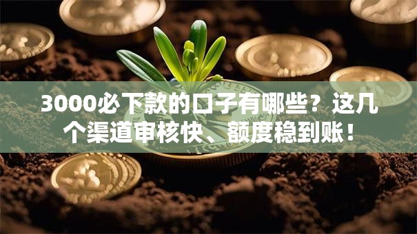 3000必下款的口子有哪些？这几个渠道审核快、额度稳到账！