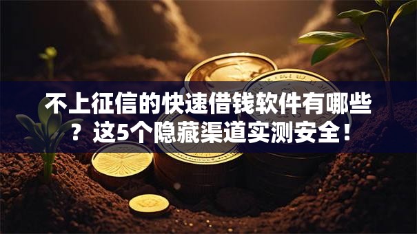 不上征信的快速借钱软件有哪些？这5个隐藏渠道实测安全！