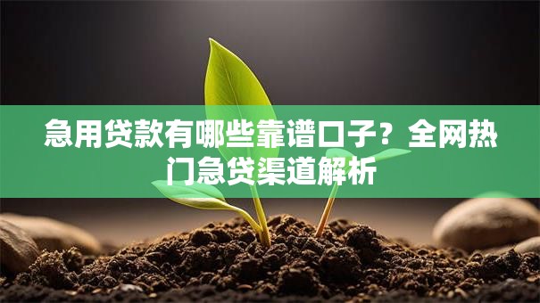 急用贷款有哪些靠谱口子？全网热门急贷渠道解析