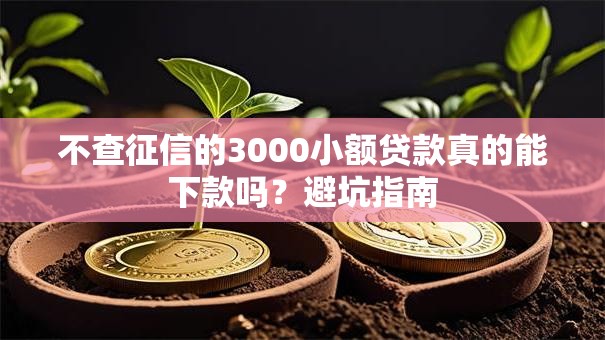 不查征信的3000小额贷款真的能下款吗?避坑指南 不查征信的3000小额贷款真的能下款吗?避坑指南
