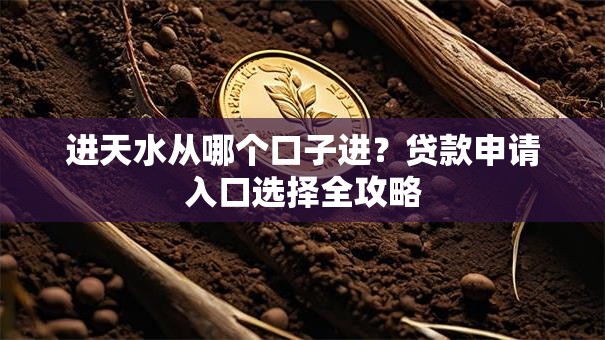 进天水从哪个口子进?贷款申请入口选择全攻略 进天水从哪个口子进?贷款申请入口选择全攻略