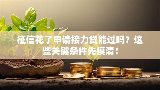 征信花了申请接力贷能过吗？这些关键条件先摸清！