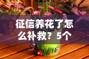 征信养花了怎么补救?5个实用技巧教你重塑良好信用记录 征信养花了怎么补救?5个实用技巧教你重塑良好信用记录