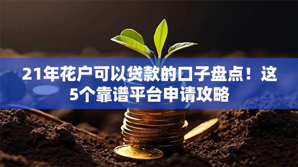 21年花户可以贷款的口子盘点！这5个靠谱平台申请攻略