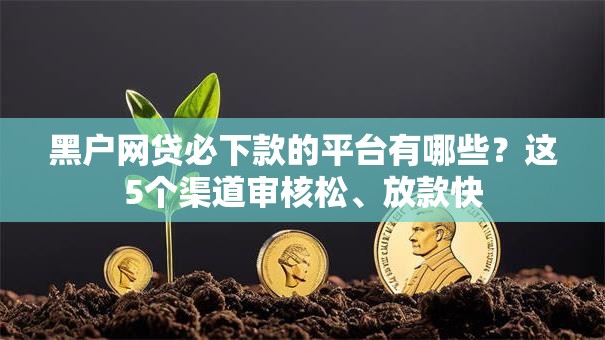 黑户网贷必下款的平台有哪些?这5个渠道审核松、放款快 黑户网贷必下款的平台有哪些?这5个渠道审核松、放款快