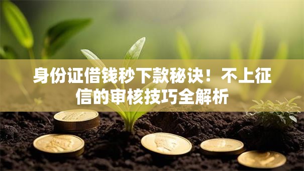 身份证借钱秒下款秘诀！不上征信的审核技巧全解析