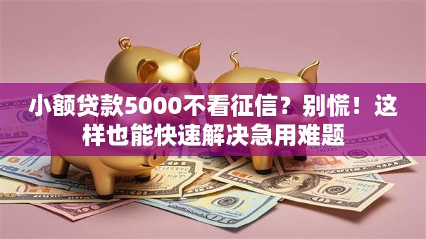 小额贷款5000不看征信?别慌!这样也能快速解决急用难题 小额贷款5000不看征信?别慌!这样也能快速解决急用难题
