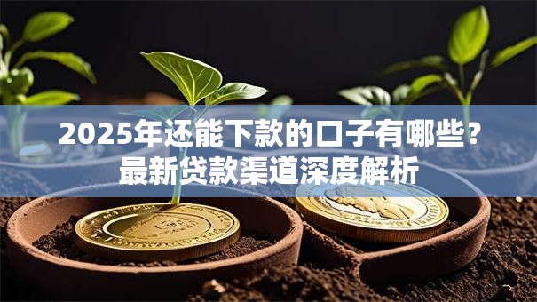 2025年还能下款的口子有哪些?最新贷款渠道深度解析 2025年还能下款的口子有哪些?最新贷款渠道深度解析