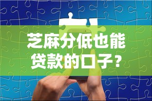 芝麻分低也能贷款的口子？真实经验分享+避坑指南