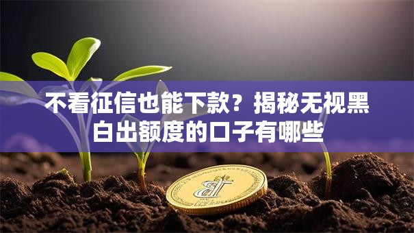 不看征信也能下款？揭秘无视黑白出额度的口子有哪些