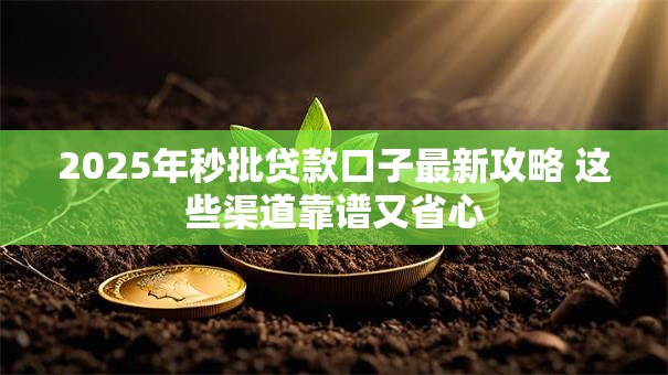 2025年秒批贷款口子最新攻略 这些渠道靠谱又省心 2025年秒批贷款口子最新攻略 这些渠道靠谱又省心