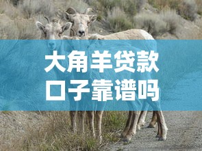 大角羊贷款口子靠谱吗?手把手教你避坑+选对渠道的实用技巧 大角羊贷款口子靠谱吗?手把手教你避坑+选对渠道的实用技巧